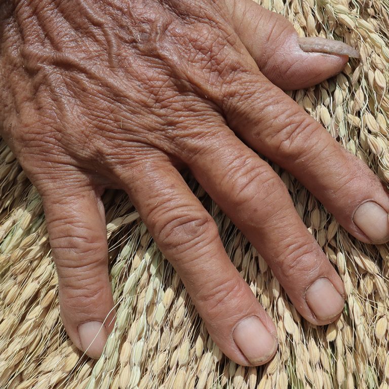 Beras