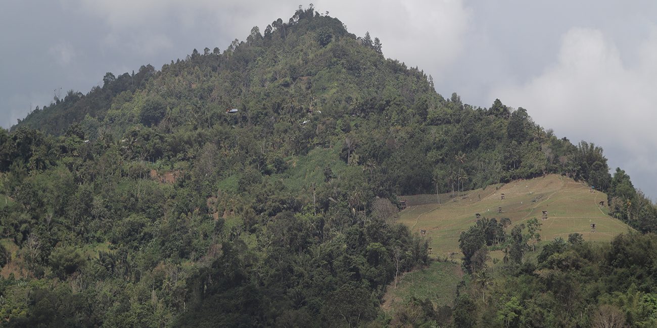 Lalono