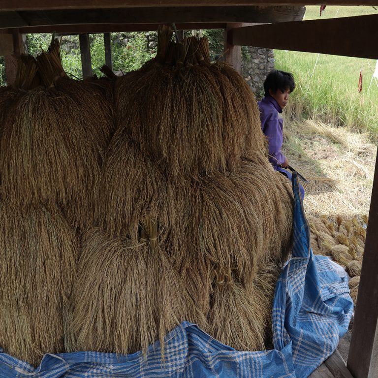 Lumbung