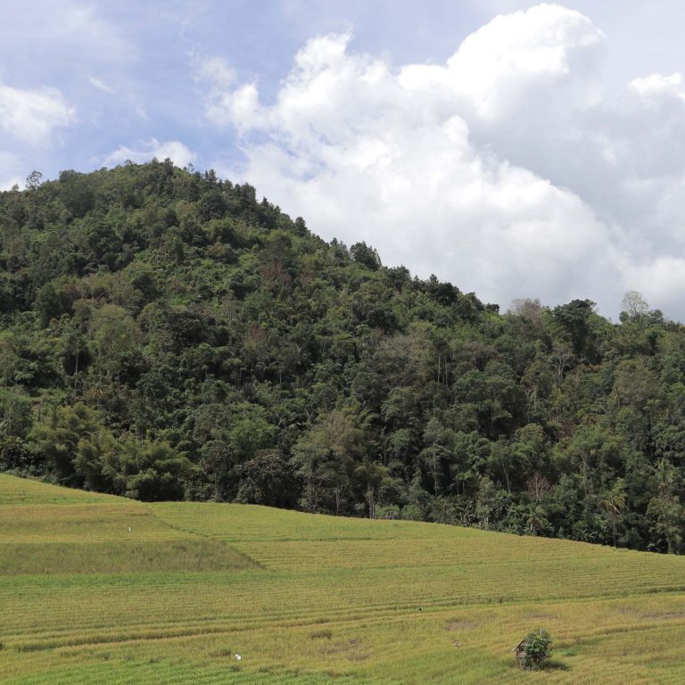 Kaduasik19_fix_resize